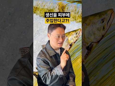🐟 피부에 생선을 넣는다는 소문의 진실?!
