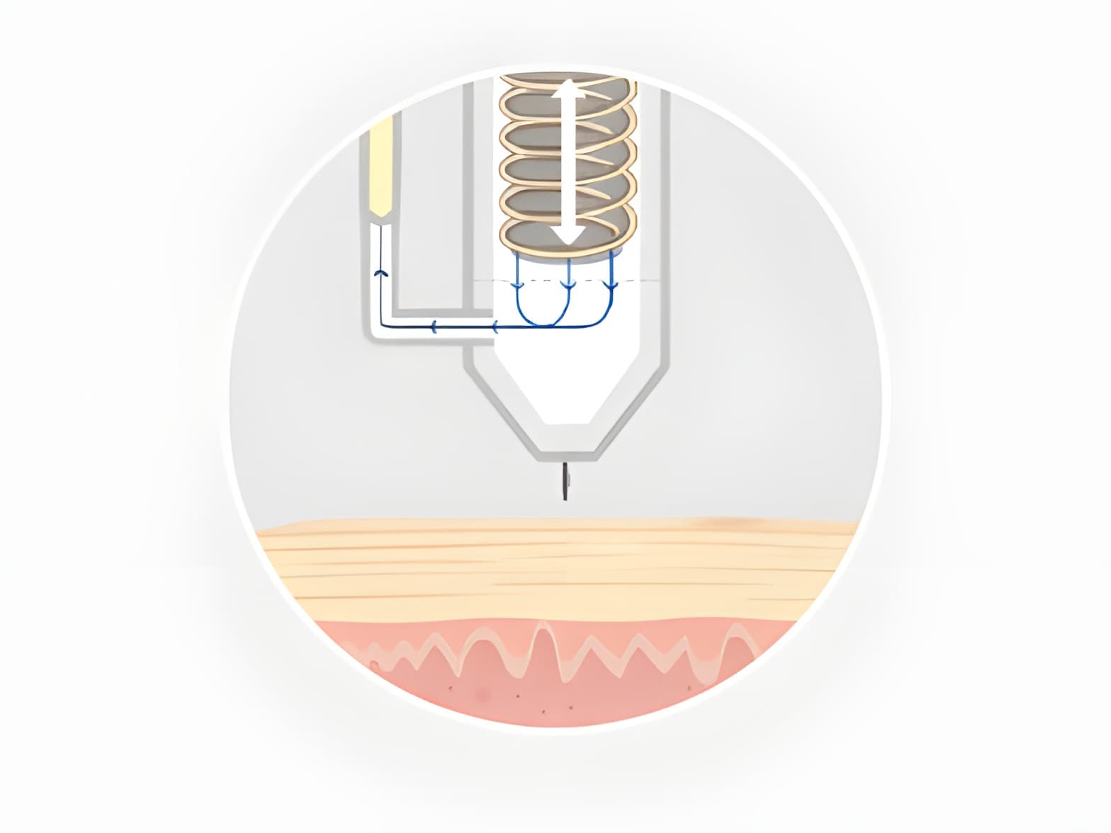 STEP 01: 薬物伝達