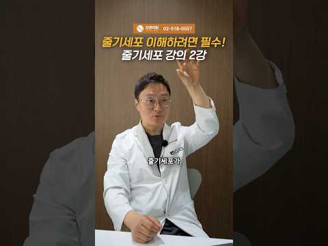 Essential for understanding stem cells! Stem Cell Lecture Part 2 guide